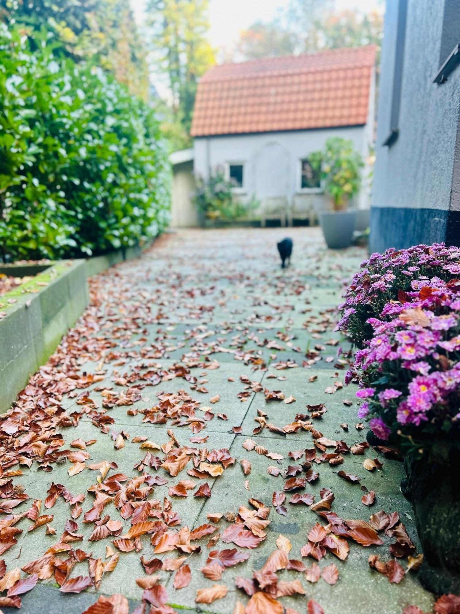 B&B In De Aap Gelogeerd Apeldoorn Eksteriør billede